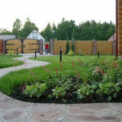 Начало лета. Цветение гейхеры