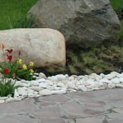 Весна. Цветение луковичных