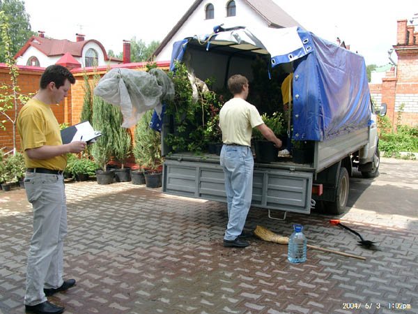 Разгрузка растений для озеленения