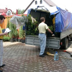 Разгрузка растений для озеленения