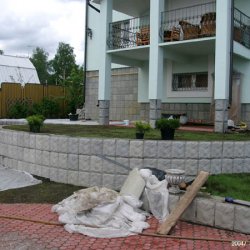 Трава появилась, начинается озеленение