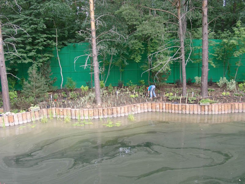 Выполнение работ - Молоденово