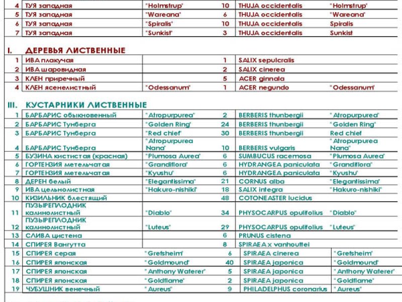Ассортиментная ведомость