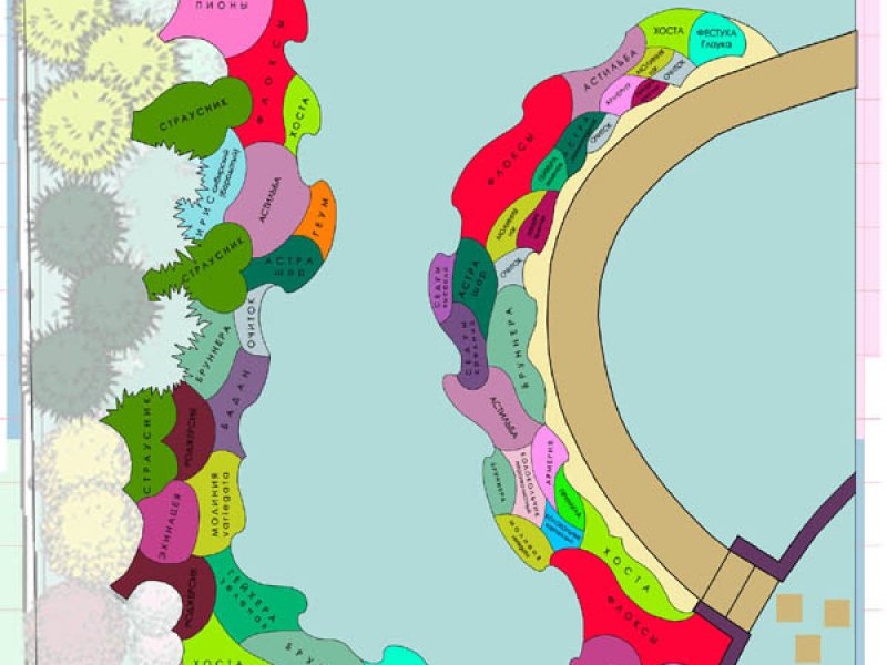 Цветник за бассейном