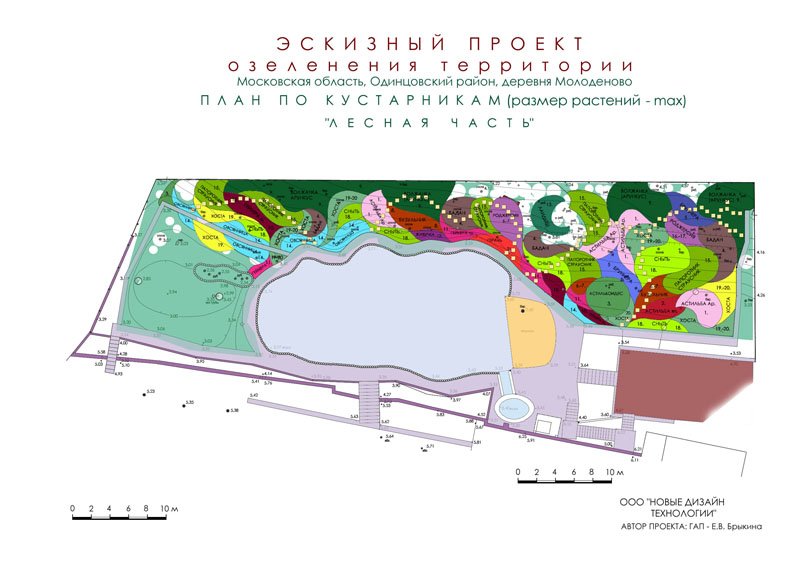 План по кустарникам - лес