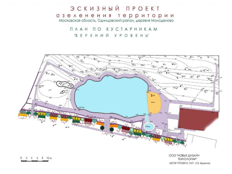 План по кустарникам - верхний уровень