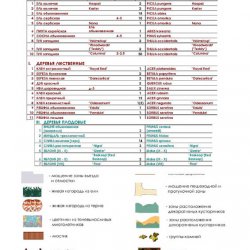 Ассортиментная ведомость