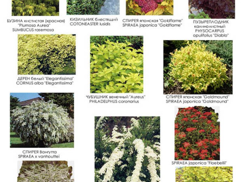 Видеоряд №4 к проекту