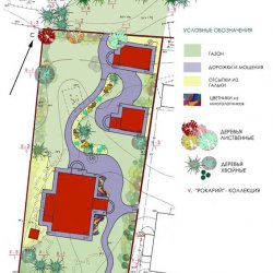 Генплан озеленения и дендроплан