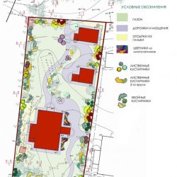 План по кустарникам