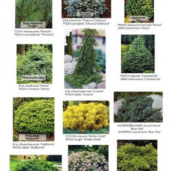 Видеоряд №2 к проекту